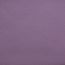 15.Purple